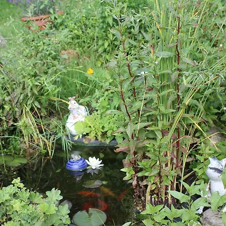 Apartament Schauberger