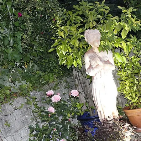 Apartament Schauberger *
